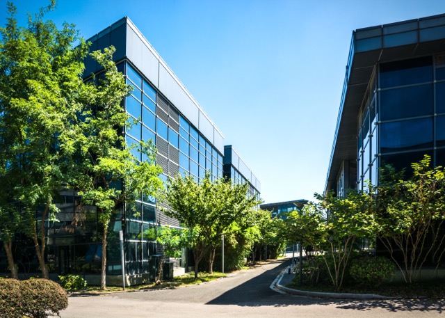 Building and Structural Maintenance